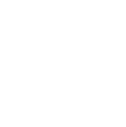 Robert Mill logo